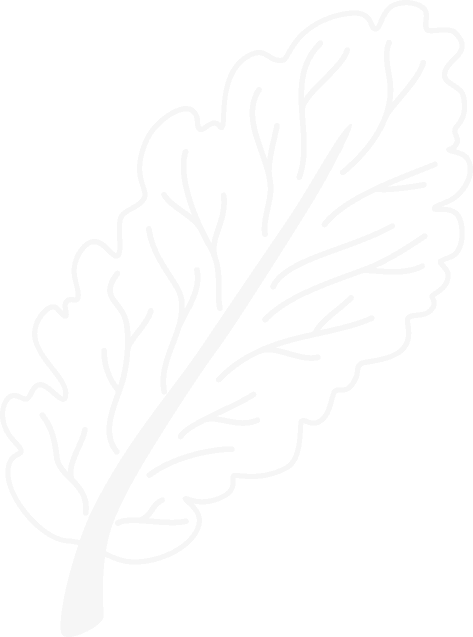 Stroy Shape
